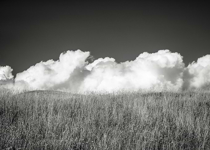 Summertime BW