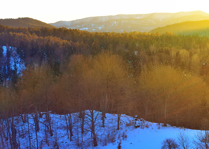 Winter sunshine