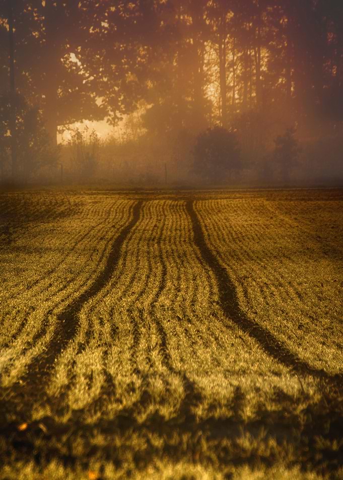 13 Summer morning