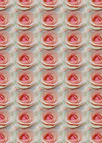Roses Pattern