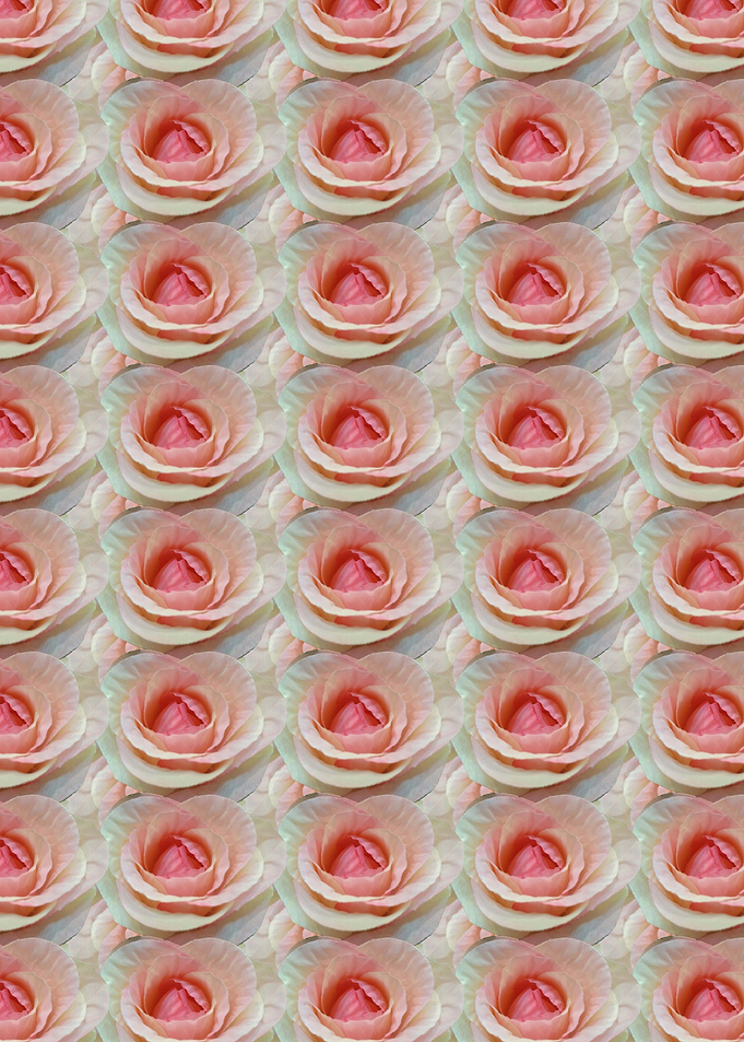 Roses Pattern