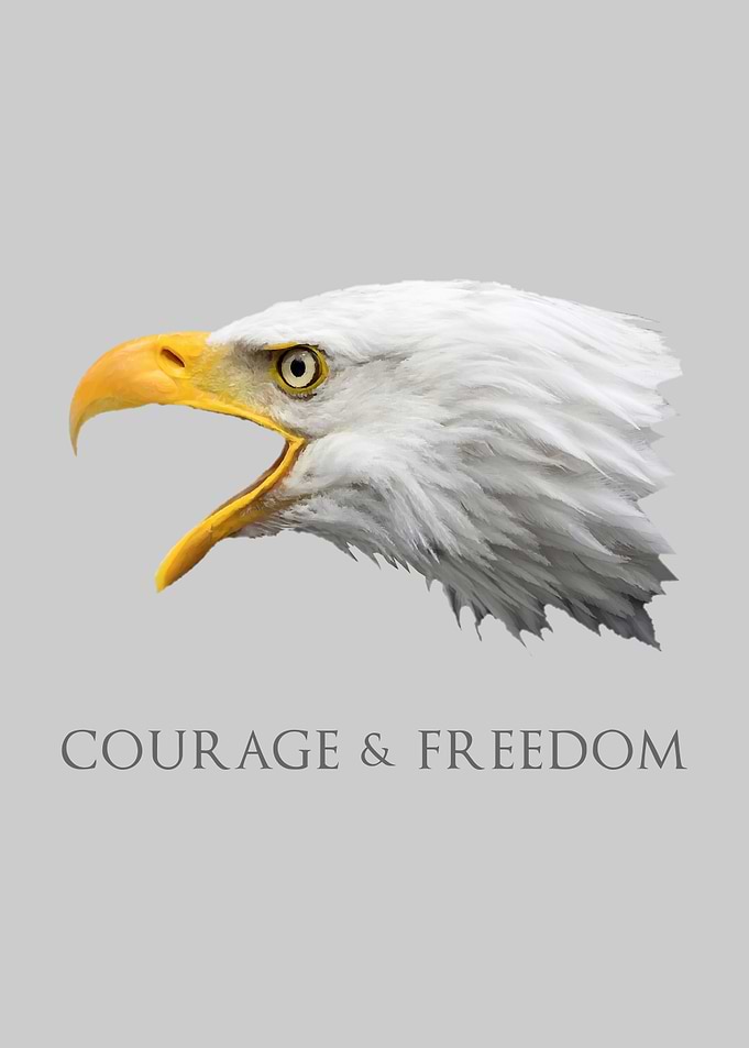 Bald Eagle Courage Freed