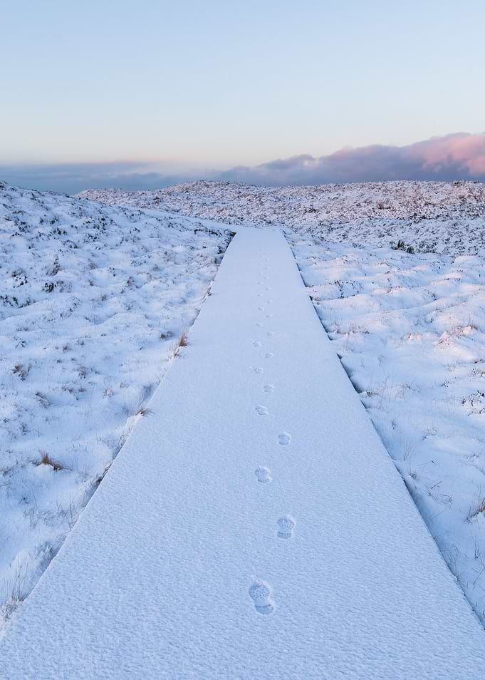 Steps in the snow