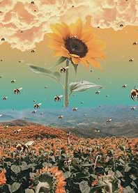 sunflowerzzz