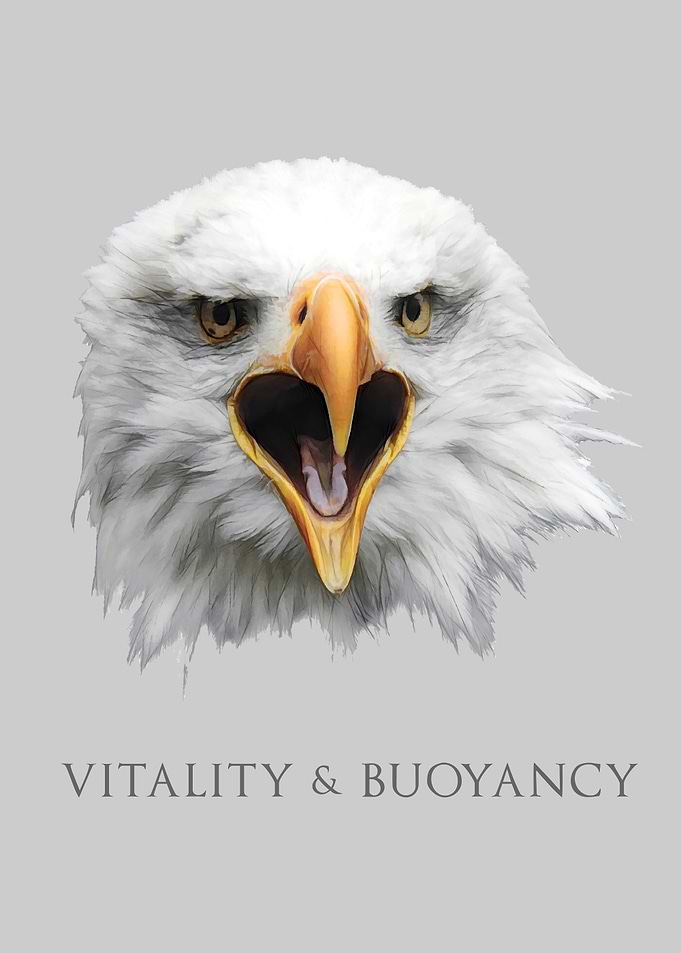 Bald Eagle Vitality