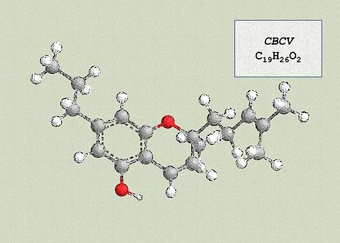 Cannabichromevarin CBCV