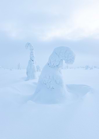 Snow giant 03