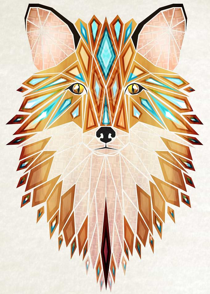 wild fox