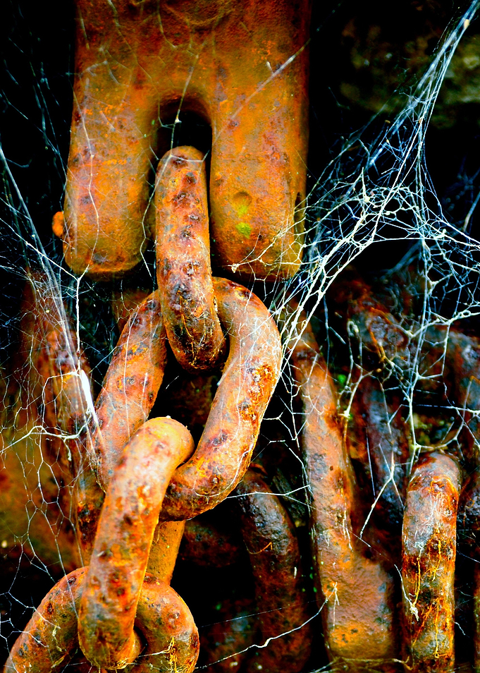 Chains of Life