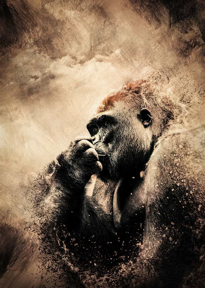 Thinking Gorilla