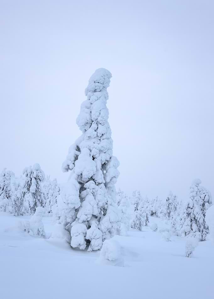 Snow giant 07
