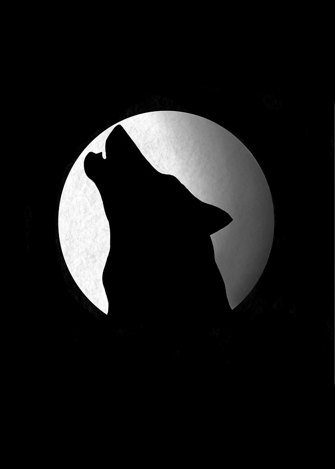 the wolf the moon