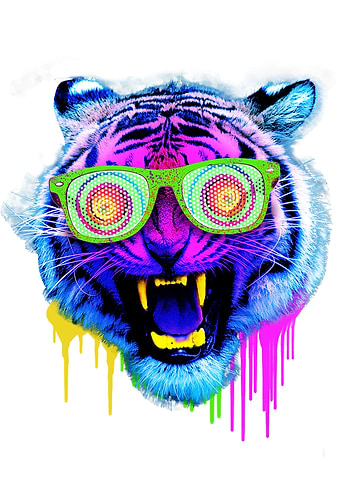 Crazy Tiger