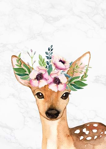 Baby Animal Floral