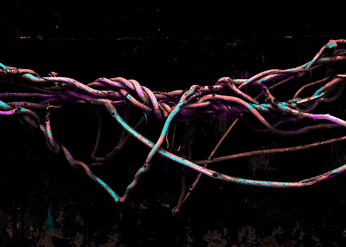 Psychedelic roots