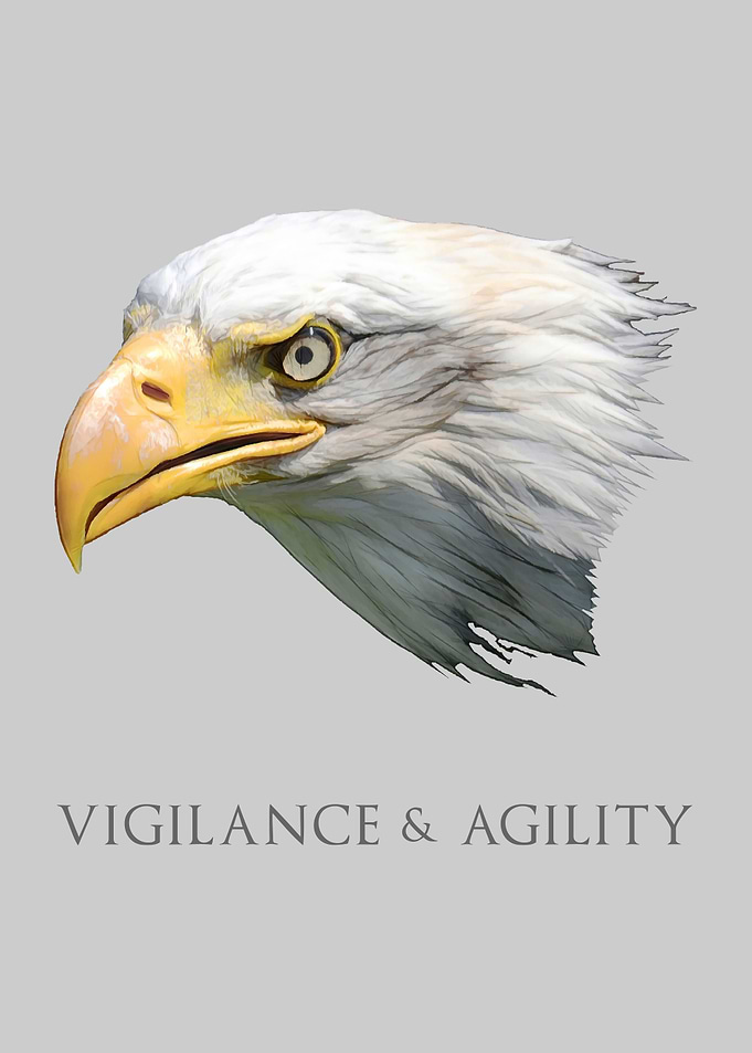 Bald Eagle Vigilance