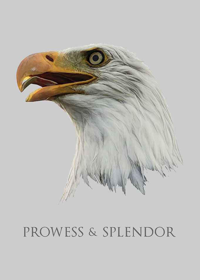 Bald Eagle Prowess