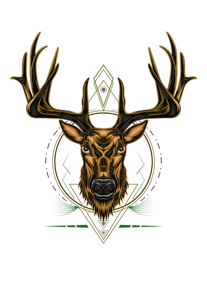 Deer head illustration