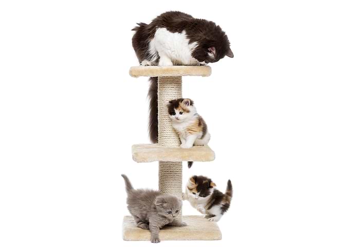 Cat tree
