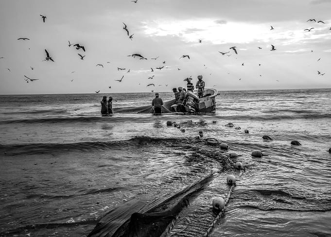 FUJAIRAH FISHERMEN