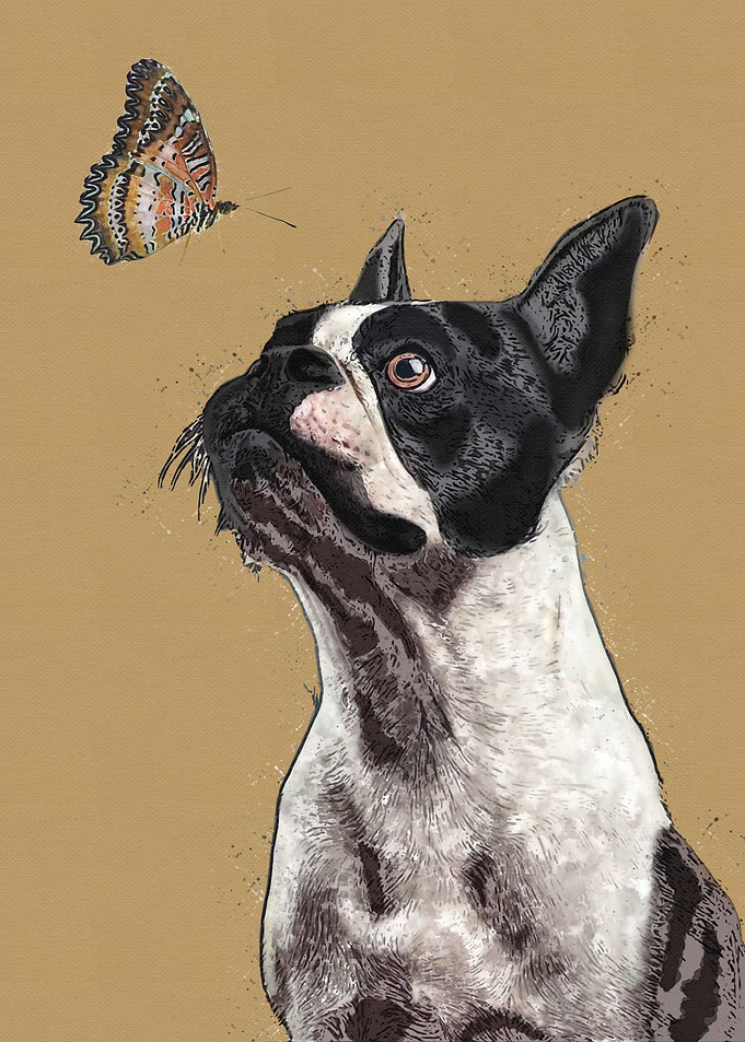 Dog Butterfly Watercolor