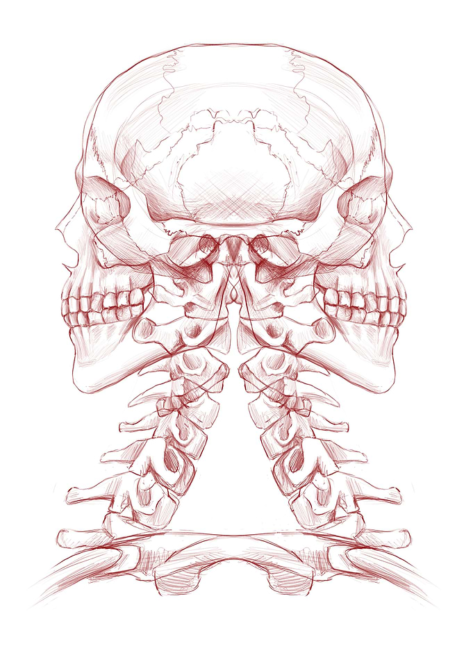 Two Skulls