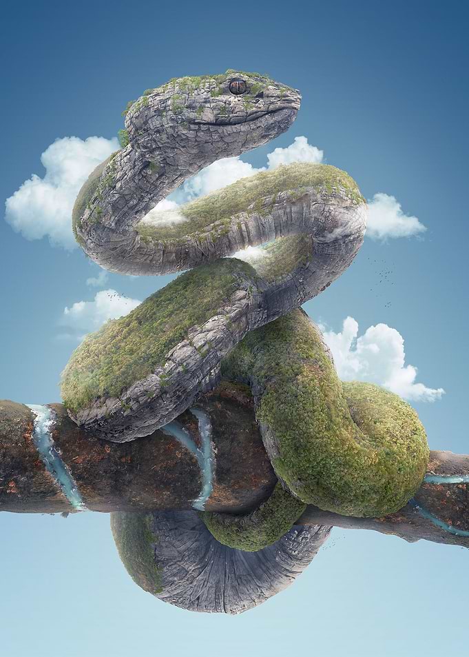 Snake Fantasy