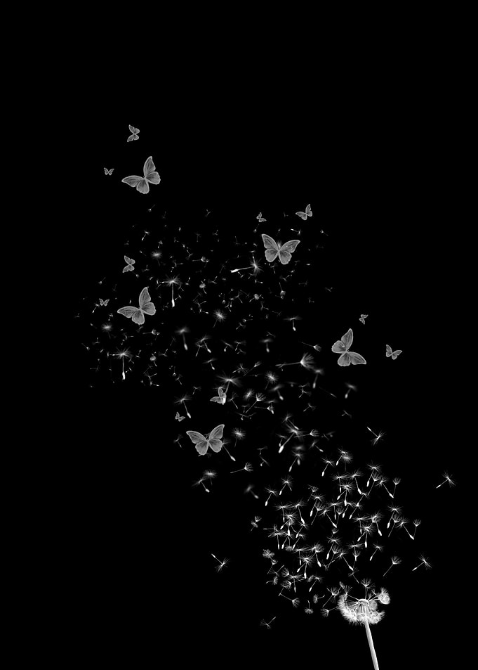 Dandelion Butterflies