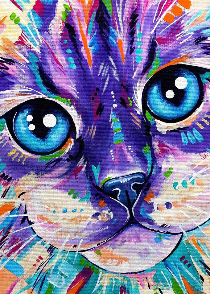 Cats in Color 1 Ragdoll