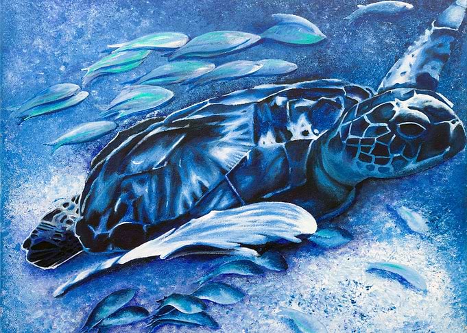 Ocean Turtle