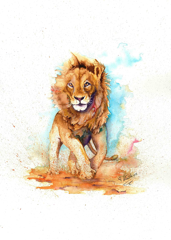 The Solitary Lion