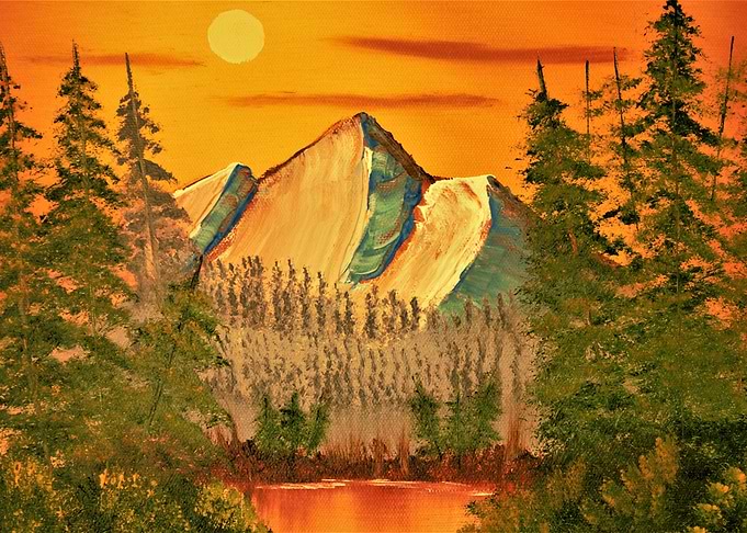 Evergreen Trees at Sunrise