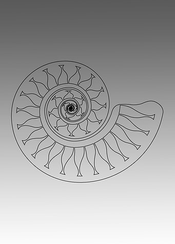 Circle abstract