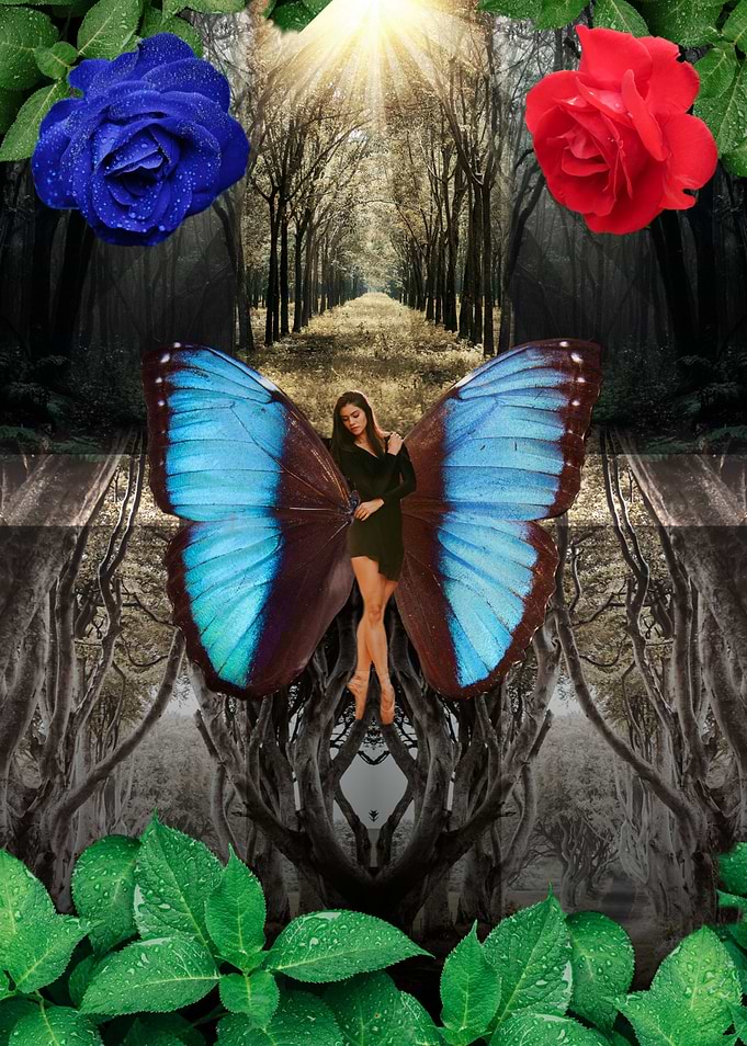 Butterfly on Life
