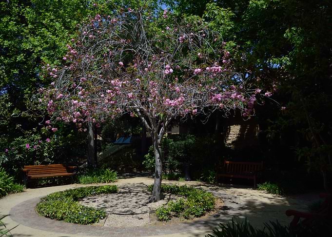 Stanford Campus