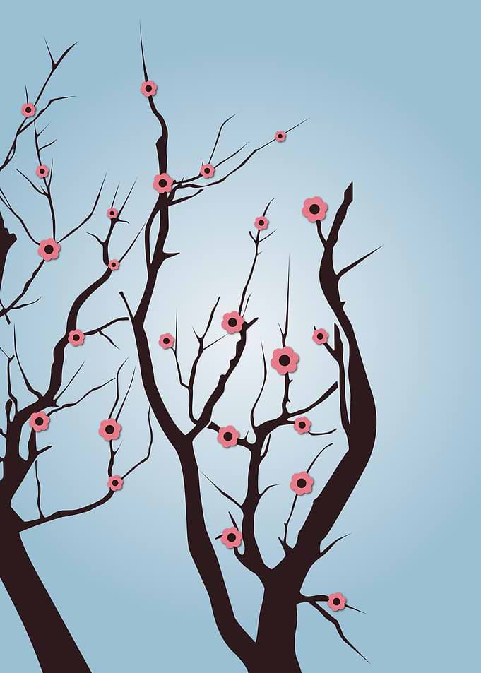 Spring dream