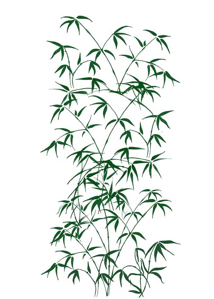 Bamboo Breeze