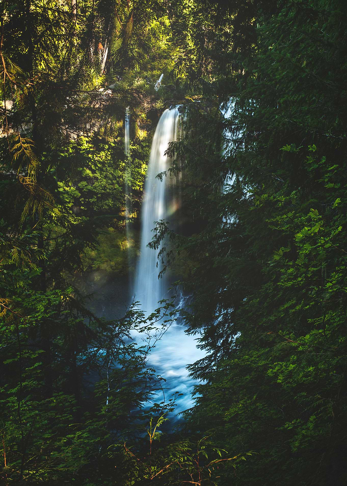 Hidden Beauty