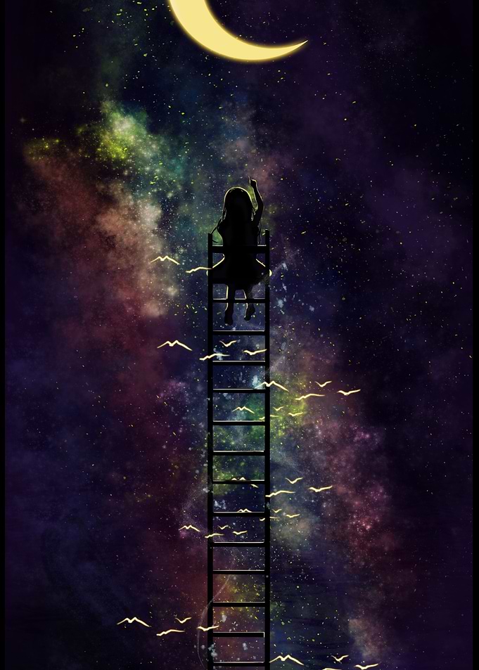 Girl Stars Birds