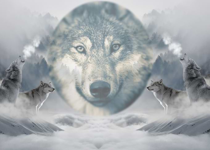 Call of the Wild