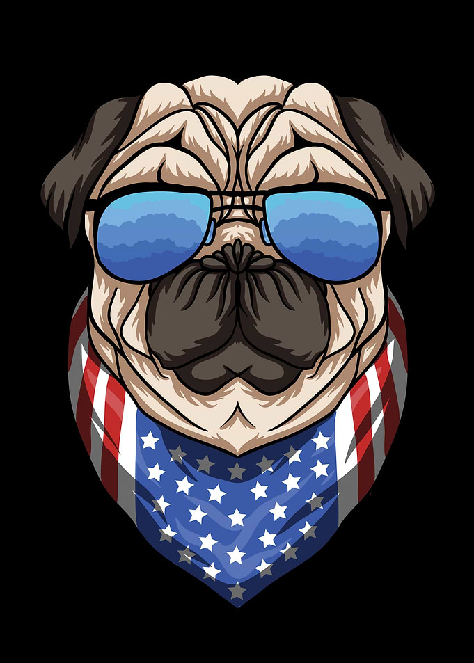 American Dog