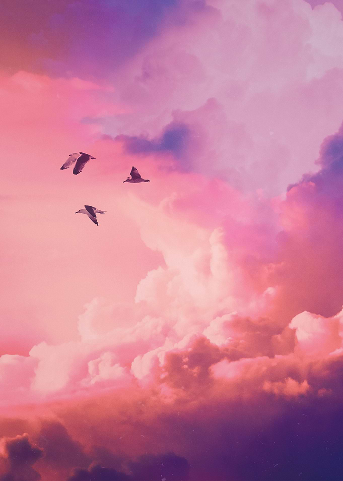 Oil of Angels
