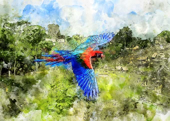 Over the Amazon