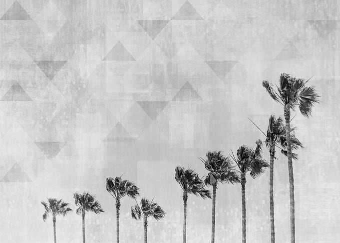 California Vibes monochrom