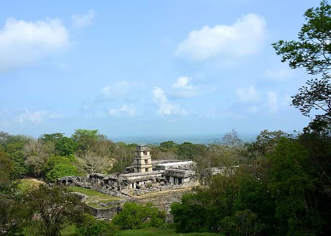 mayan plalenque temples