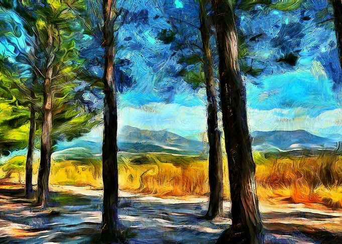 Trees and Mountains View