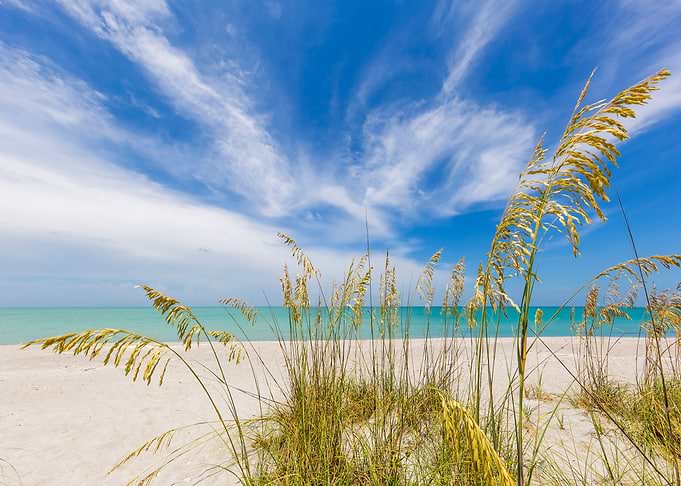Calmness on the beach