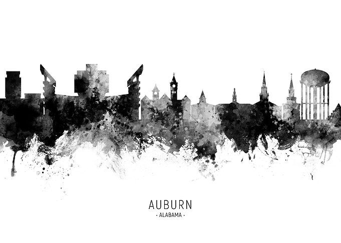 Auburn Alabama Skyline