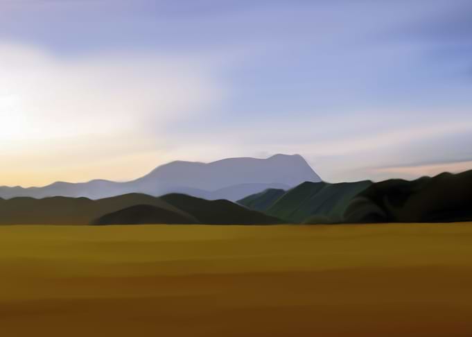 Rice fields