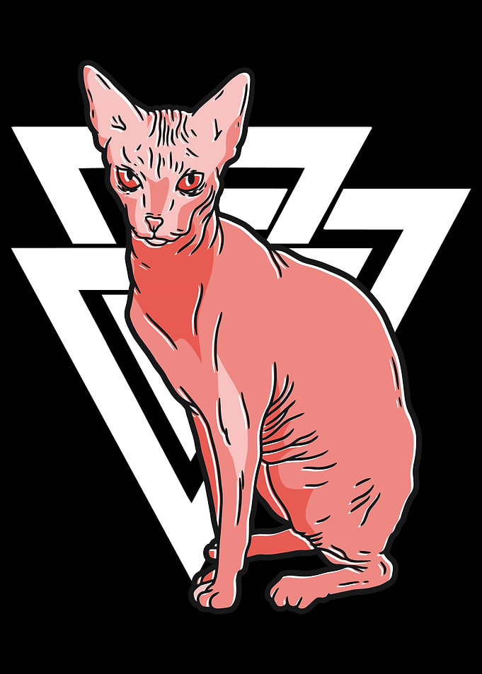 Sphynx Cat